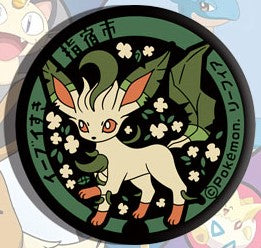 Pokemon Eevee Evolutions Badge